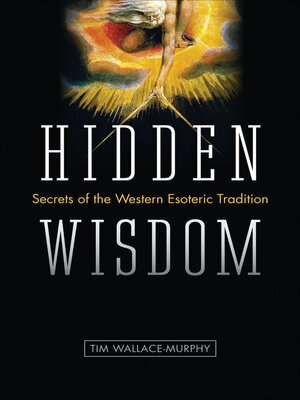 cover image of Hidden Wisdom
